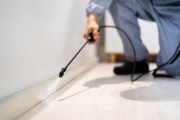 Professional exterminator conducting IPM assessment in New Madrid